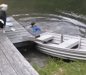 动图封面